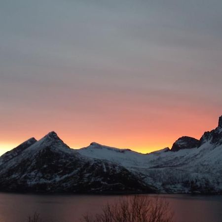 Senja, Husoy I Senja. Leilighet Med Utsikt Over Fjord Og Fjell Tofta Buitenkant foto