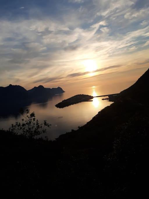 Senja, Husoy I Senja. Leilighet Med Utsikt Over Fjord Og Fjell Tofta Buitenkant foto