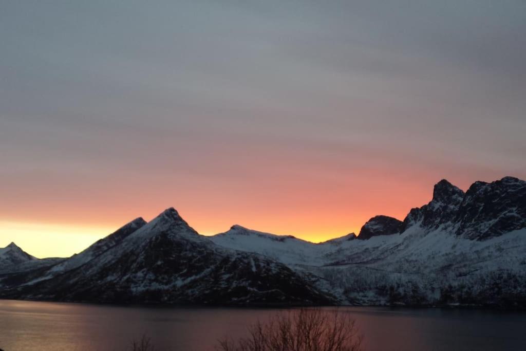 Senja, Husoy I Senja. Leilighet Med Utsikt Over Fjord Og Fjell Tofta Buitenkant foto