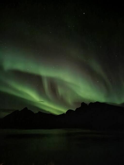 Senja, Husoy I Senja. Leilighet Med Utsikt Over Fjord Og Fjell Tofta Buitenkant foto